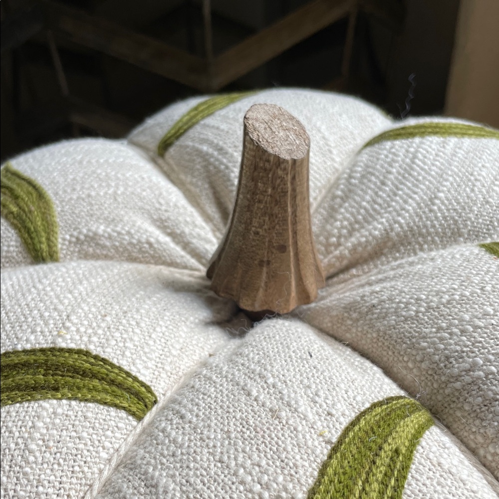 πBeautifully Crafted Embroidered Green and Cream Decorative Pumpkin-large - Picture 11 of 13